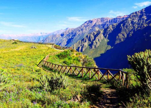 Tour ciudad de arequipa y valle del colca 3 dias