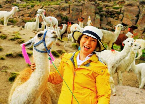 Tour valle del colca con puno 3 dias