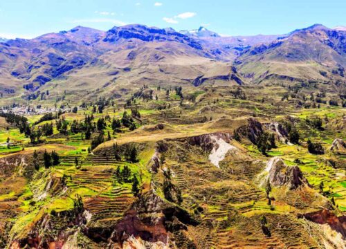 Tour valle del colca hasta puno 3 dias